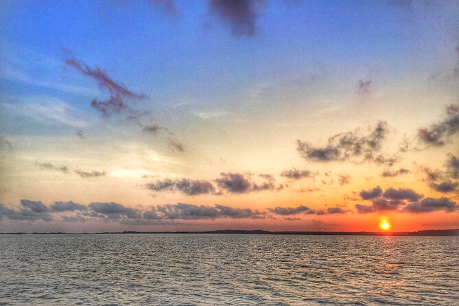 Hilton Head Dolphin Watching Cruise with Fireworks Display - Who should book this cruise?