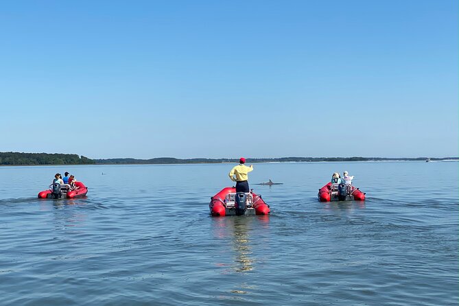 Hilton Head Guided Dolphin Watching & Sightseeing Tour via Mini Boat - How rough is the ride?