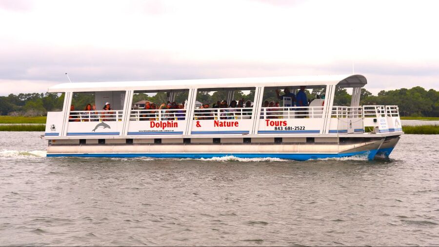 Hilton Head Island: 90-Minute Dolphin & Nature Tour - Key details before you book