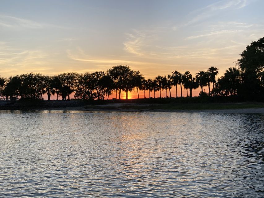 Hilton Head Island: 90-Minute Dolphin & Nature Tour - A family trip with a memorable hands-on touch