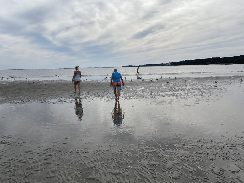 Hilton Head Island: Disappearing Island and Dolphin Tour - Who should book this Hilton Head tour?
