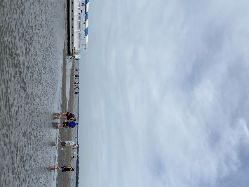 Hilton Head Island: Disappearing Island and Dolphin Tour - Broad Creek and the Lowcountry in plain English