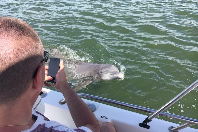 Hilton Head Island Dolphin Boat Cruise - A good outing for families and mixed-age groups