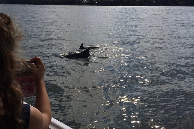 Hilton Head Island Dolphin Boat Cruise - Timing, weather, and practical planning