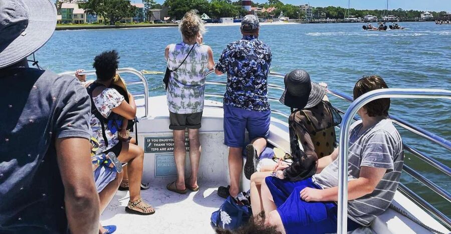 Hilton Head Island: Dolphin Cruise & Nature Tour - The open boat: what to bring and what to expect