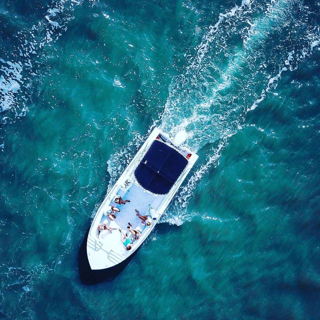 Hilton Head Island: Dolphin Cruise & Nature Tour - Is $45 a good price?
