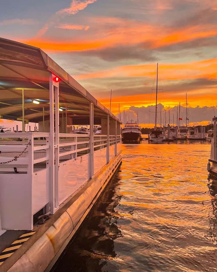 Hilton Head Island: Dolphin Tour at Sunset & Fireworks Show - Key points to know before you book