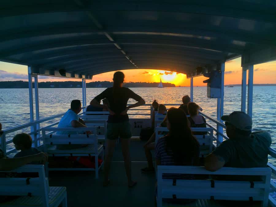 Hilton Head Island: Dolphin Tour at Sunset & Fireworks Show - Sunset on Calibogue Sound