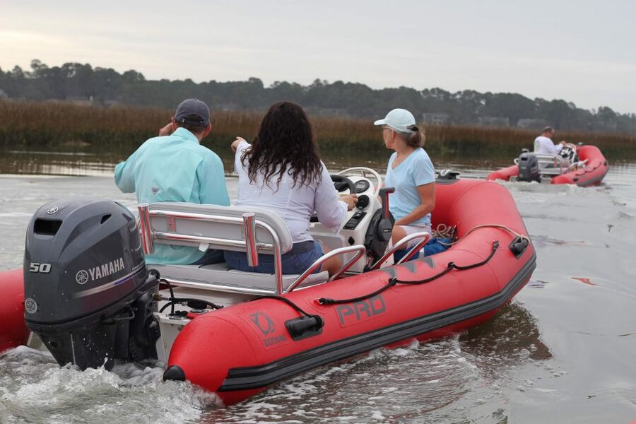 Hilton Head Island: Mini Boat Dolphin Tour - Daufuskie Island and the wider coastal view