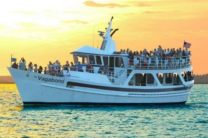Hilton Head Island Ocean Dolphin Cruise - The main drawbacks to consider