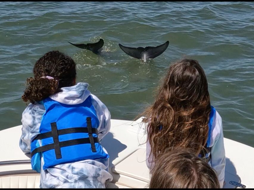 Hilton Head Island: Private Dolphin and Nature Tour - Bull Island, shell banks, and crab traps