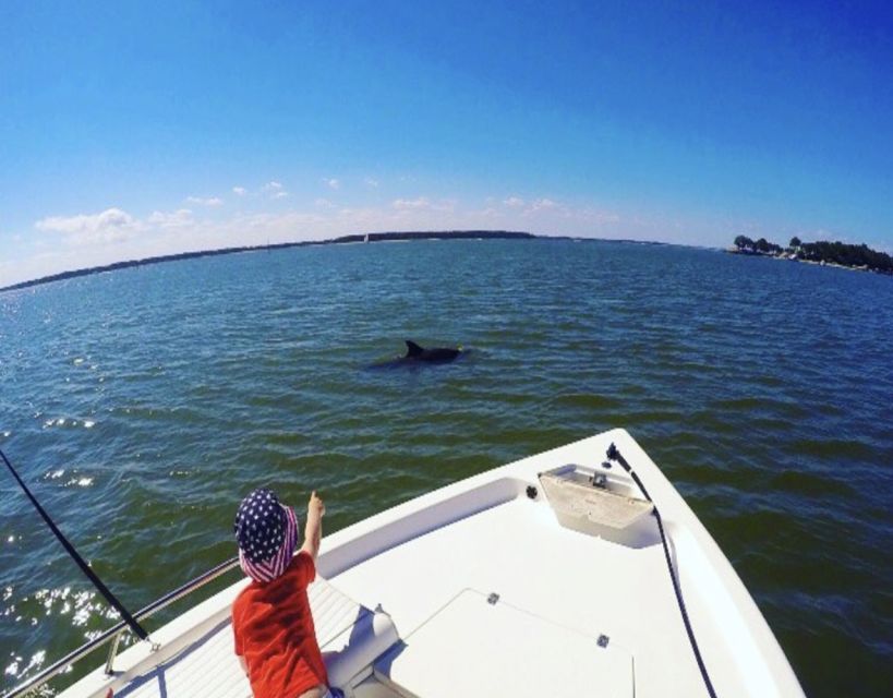 Hilton Head Island: Private Dolphin Watching Boat Tour - Searching for Atlantic bottlenose dolphins