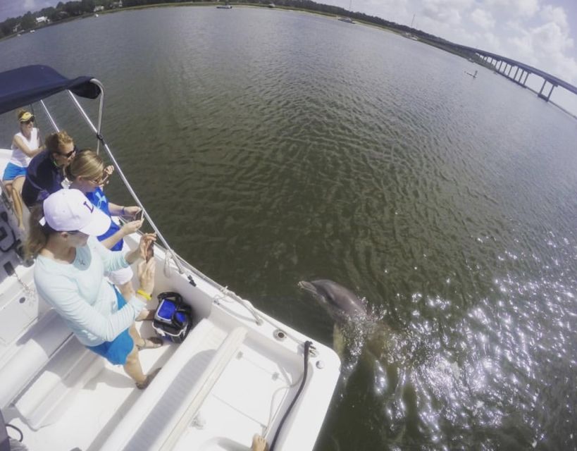 Hilton Head Island: Private Dolphin Watching Boat Tour - What the $329 group price really means