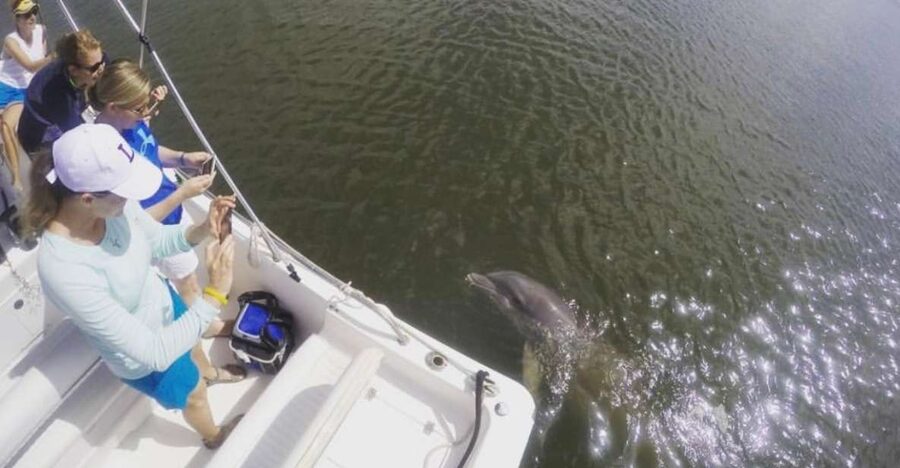 Hilton Head Island: Private Dolphin Watching Boat Tour - Comfort, weather, and motion sickness
