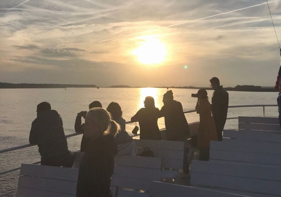 Hilton Head Island: Sunset Dolphin Cruise - Key points to know before boarding