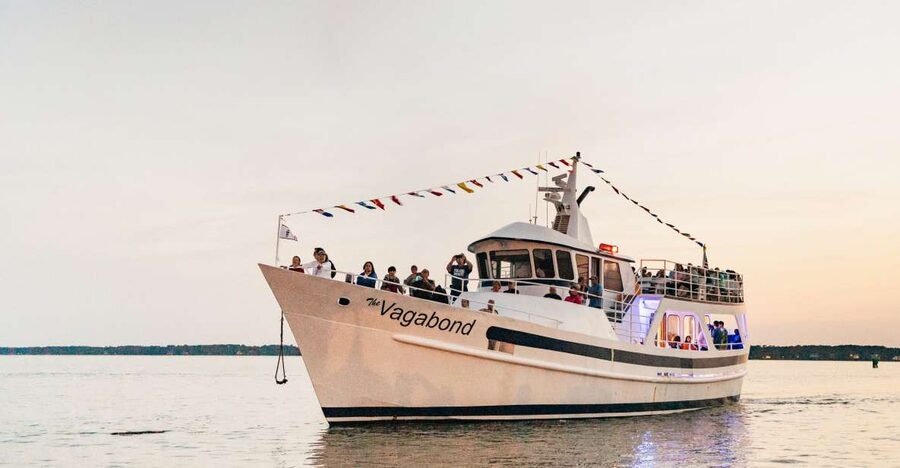 Hilton Head Island: Sunset Dolphin Cruise - What makes the dolphin sightings worthwhile