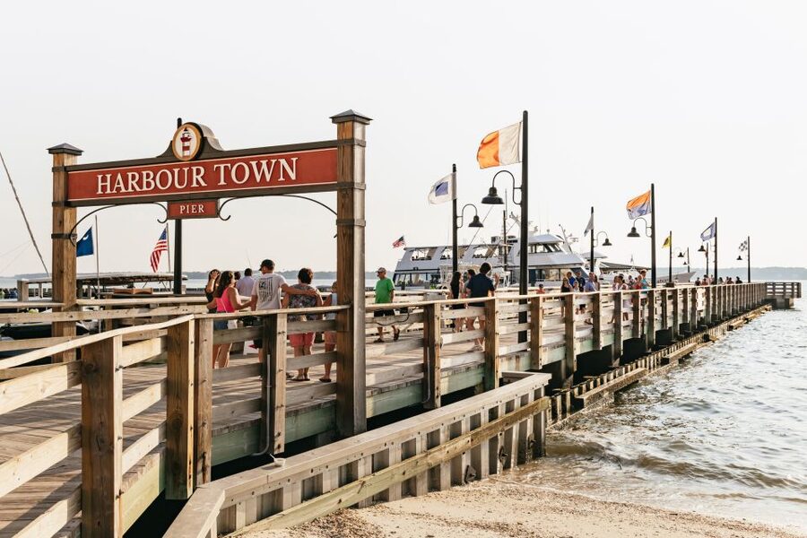 Hilton Head Island: Sunset Dolphin Cruise - How the $50 price compares with the experience