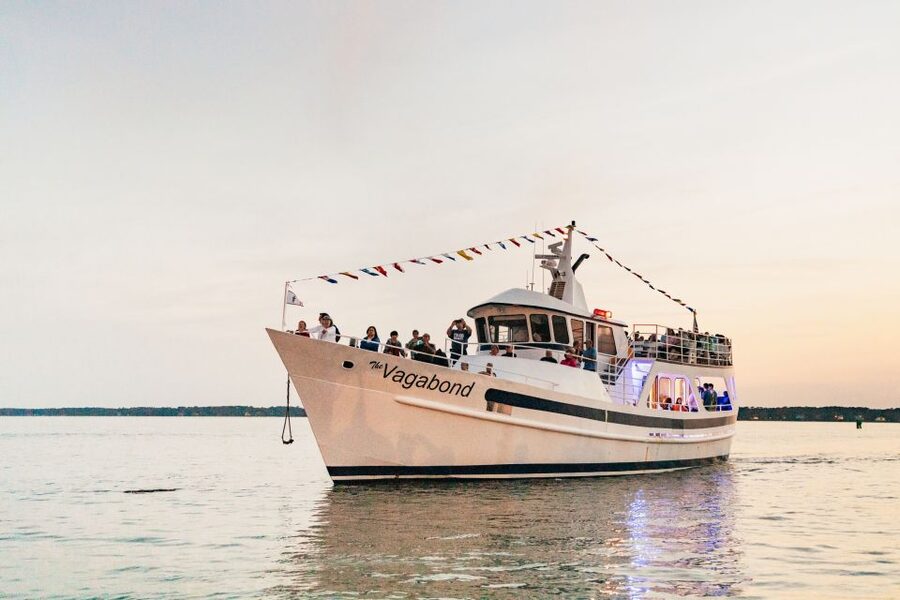 Hilton Head Island: Sunset Dolphin Cruise - The first search for Atlantic bottlenose dolphins
