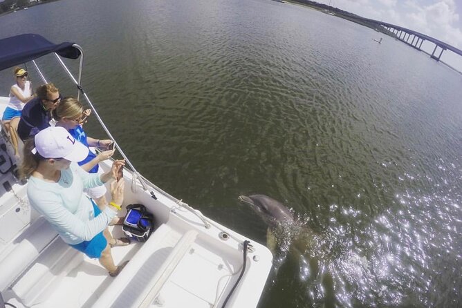 Hilton Head Island Sunset Dolphin Tour - Harbour Town Golf Links brings a sports connection