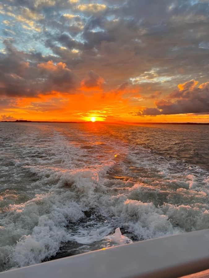 Hilton Head Island: Sunset Dolphin Watching Tour - Is $49 a fair price?