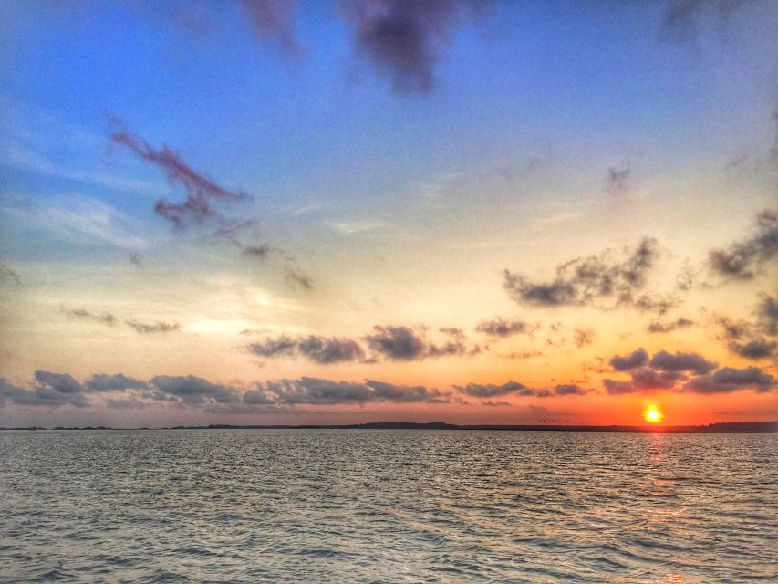Hilton Head Island: Sunset Dolphin Watching Tour - Weather, comfort, and who should skip it