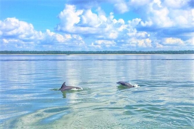 Hilton Head Morning Dolphins & Donuts Cruise - Key points before you book
