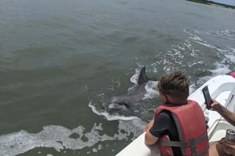 Hilton Head: Private Dolphins & Tubing Adventure - Leaving Shelter Cove Marina