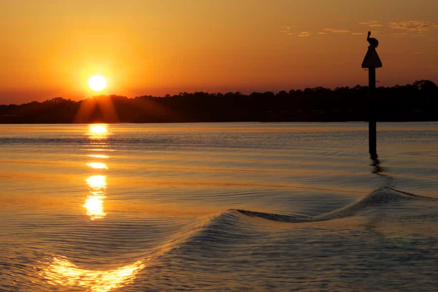 Hilton Head: Sunset Dolphin Cruise with Scenic Views - Searching for Atlantic bottlenose dolphins