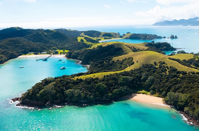 Hole in the Rock Scenic Cruise including Dolphins and Island stop - Who will get the most from this cruise