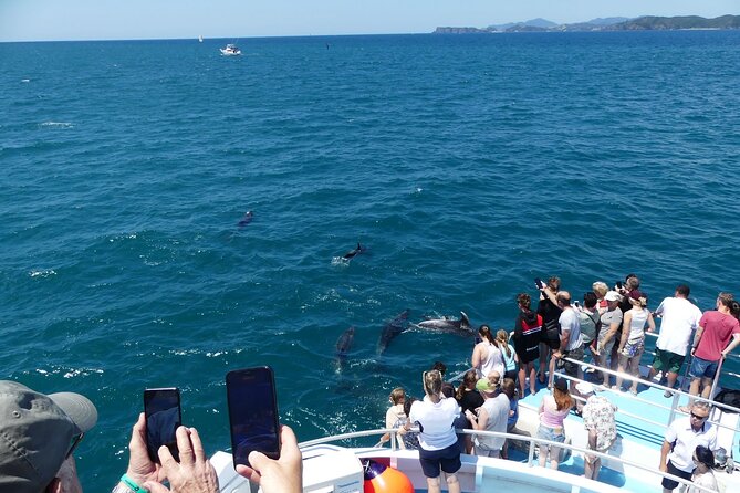 Hole in the Rock Scenic Cruise including Dolphins and Island stop - Leaving Paihia or Russell for Ipipiri