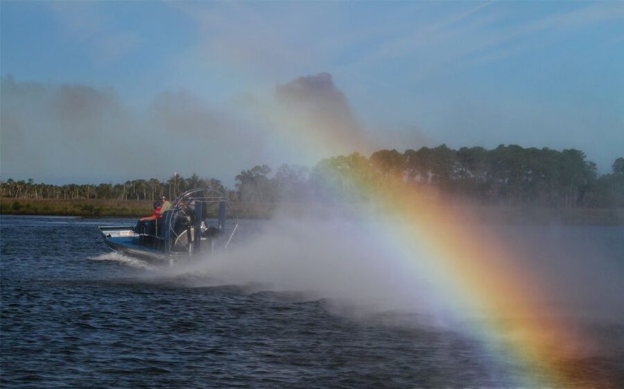 Homosassa: Gulf of Mexico Airboat Ride and Dolphin Watching - Key points to know