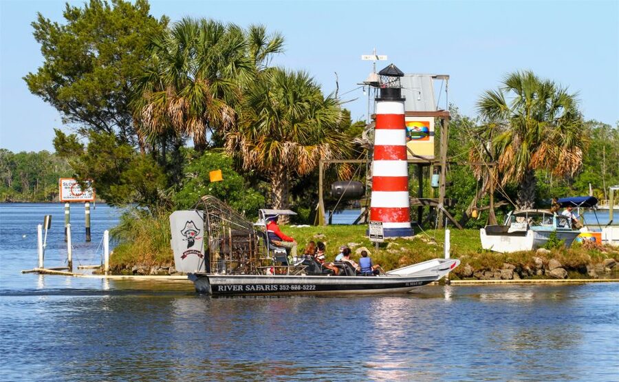 Homosassa: Gulf of Mexico Airboat Ride and Dolphin Watching - From Homosassa River to the Gulf