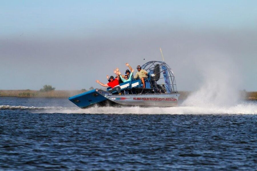 Homosassa: Gulf of Mexico Airboat Ride and Dolphin Watching - Searching for dolphins and manatees