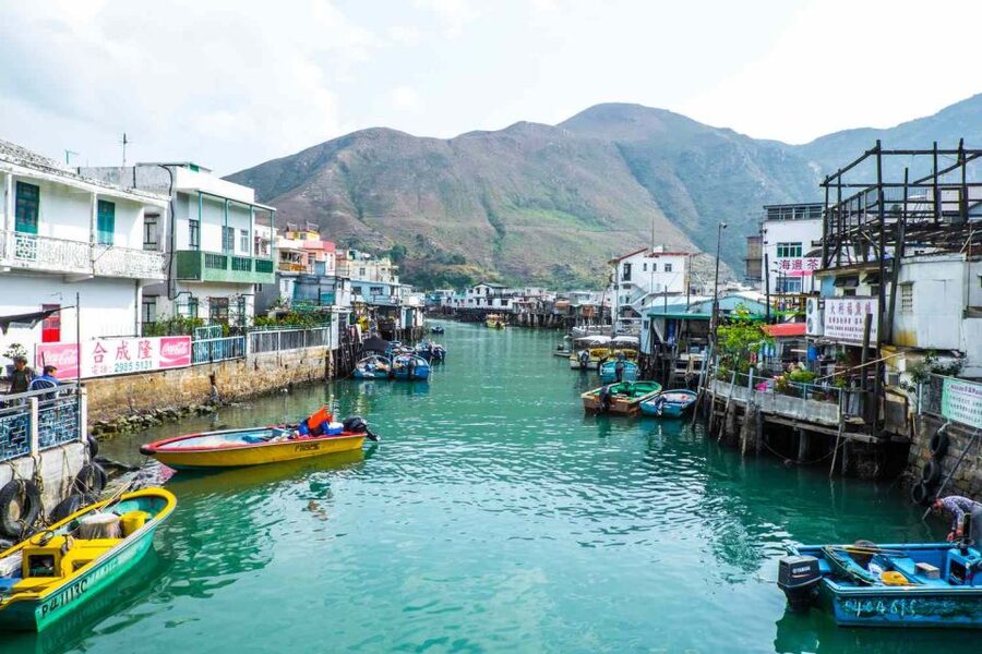 Hong Kong: Dolphin Cruise, Big Buddha & Lantau Island Tour - The dolphin cruise: beautiful even when the dolphins stay away