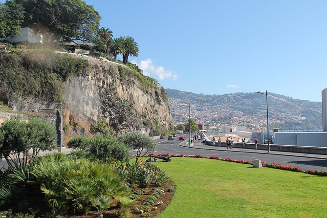 Hop-on Hop-off Bus Tour and Catamaran Whale & Dolphin Watching - The cruise adds a second view of Madeira