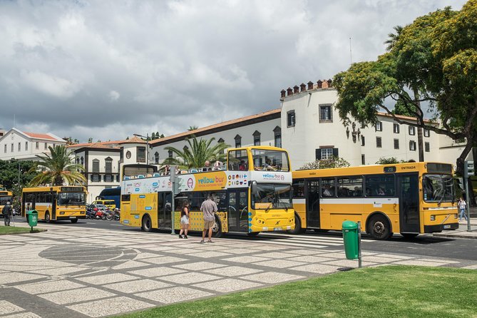 Hop-on Hop-off Bus Tour and Catamaran Whale & Dolphin Watching - What the price includes, and where value depends on your plan