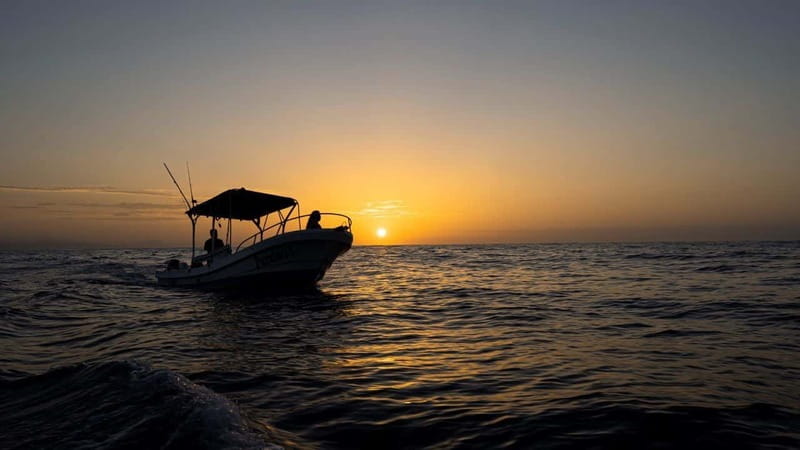 Huatulco: Awakening with Stars Dolphins Boat Cruise - Should you book the Huatulco dolphin cruise?