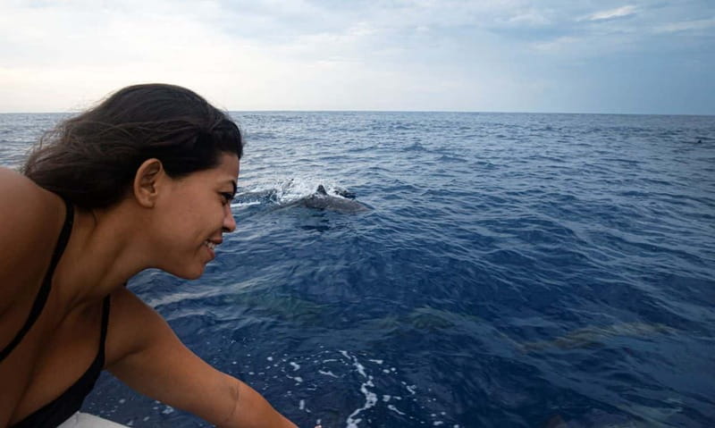 Huatulco: Awakening with Stars Dolphins Boat Cruise - The boat ride itself