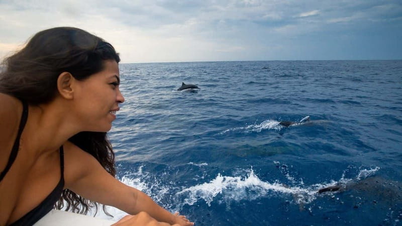 Huatulco: Awakening with Stars Dolphins Boat Cruise - How the timing affects value
