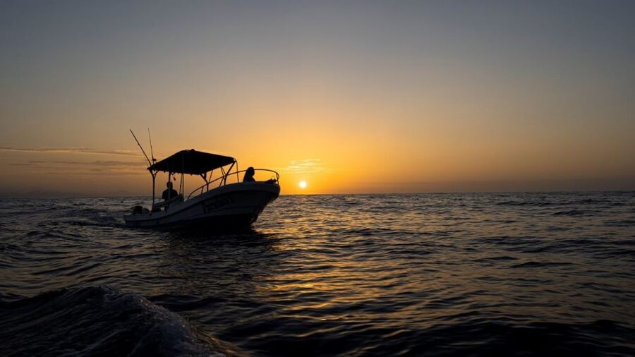 Huatulco: Awakening with Stars Dolphins Boat Cruise - Booking, languages, and flexibility