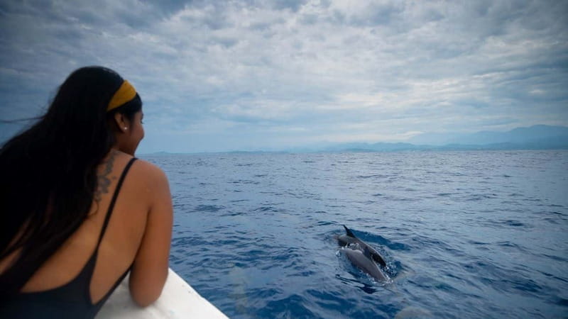 Huatulco: Awakening with Stars Dolphins Boat Cruise - Santa Cruz Bay and the route to open water