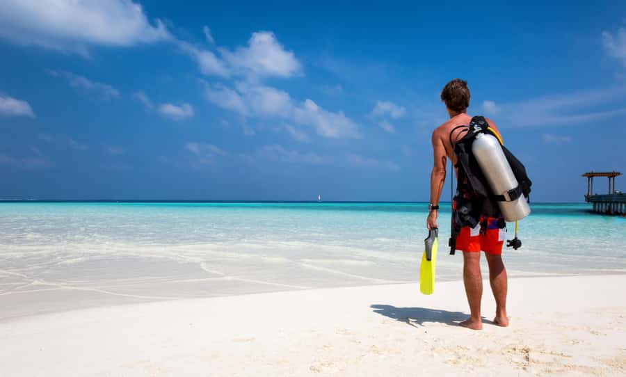 Hurghada: 1 day DIVING Refrechment, Check Dives and Dolphins - Key points at a glance