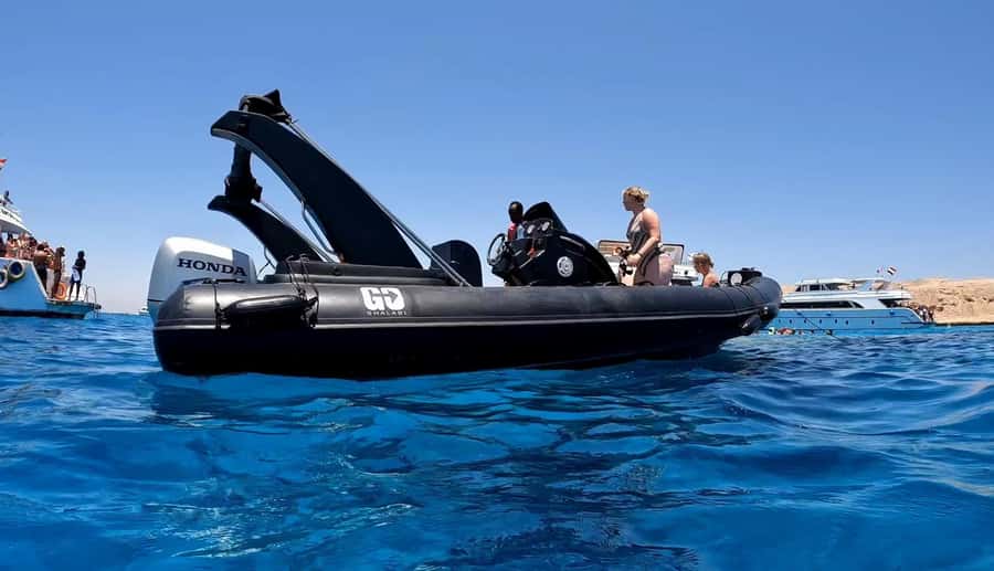 Hurghada: 3-Island Speedboat, Dolphin Watching & Snorkeling - Searching for dolphins near Giftun Island