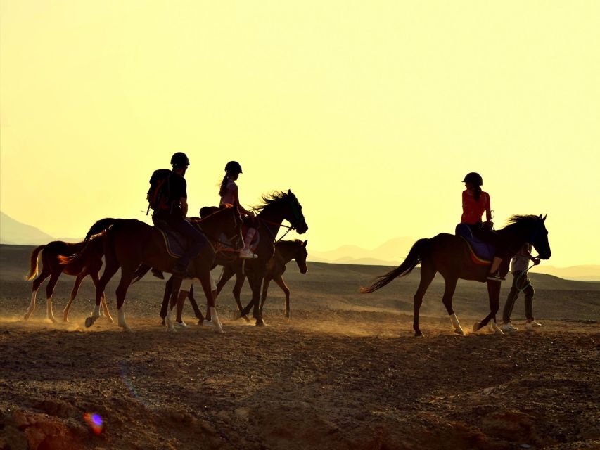 Hurghada: 4 Days Tour Horse, Camel, Spa, ATV, Jeep & Dolphin - Day two: two hours on an ATV between sea and desert