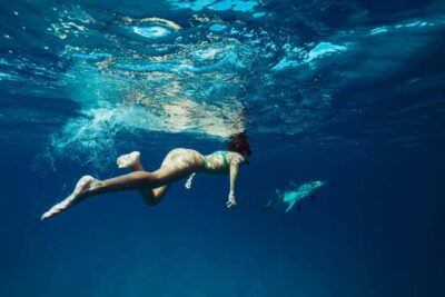 Hurghada: All-Inclusive Elite VIP Dolphin House & Massage