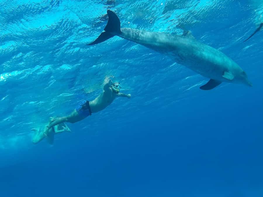 Hurghada: All-Inclusive Elite VIP Dolphin House & Massage - The Ferrari yacht and the crew