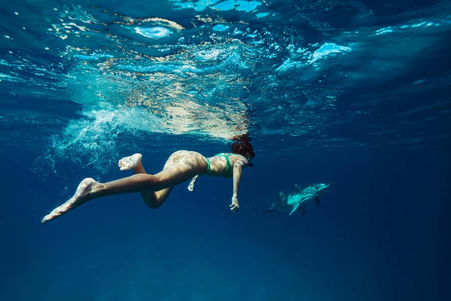 Hurghada: All-Inclusive Elite VIP Dolphin House & Massage - The early pickup sets the tone for a long day