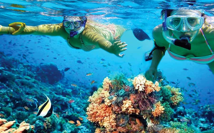 Hurghada: Day Snorkeling with Dolphins - The real prize is time near wild dolphins