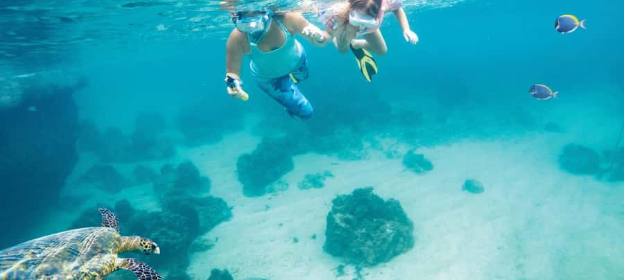 Hurghada: Day Snorkeling with Dolphins - Leaving Hurghada by air-conditioned transfer