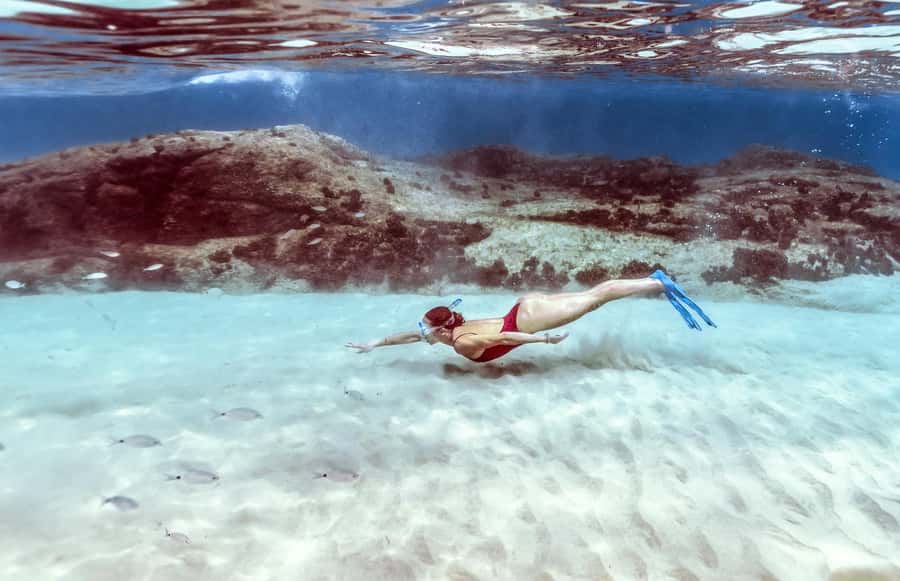 Hurghada: Day Snorkeling with Dolphins - Is $42 a good value?